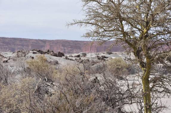 O belo cenário do Parque Provincial Ischigualasto, na Argentina